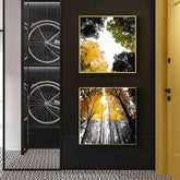 Paint by Numbers Deciduous forest